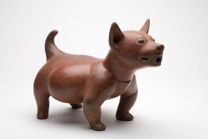 El perro mesoamericano y su función en el cosmos