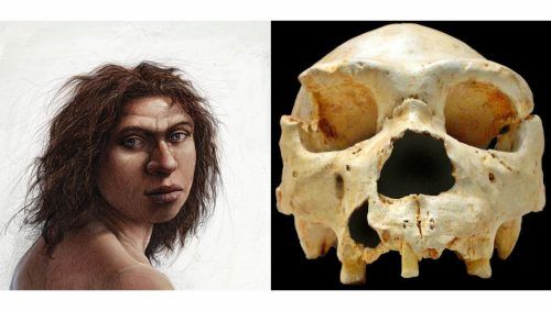 Atapuerca, la ventana a la prehistoria europea.
