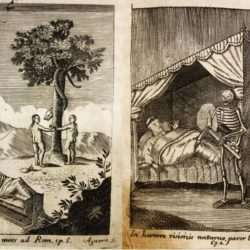Nuevo escrito 4 portentosa muerte 1