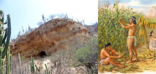 La arqueología y el rastreo del nacimiento de la agricultura.