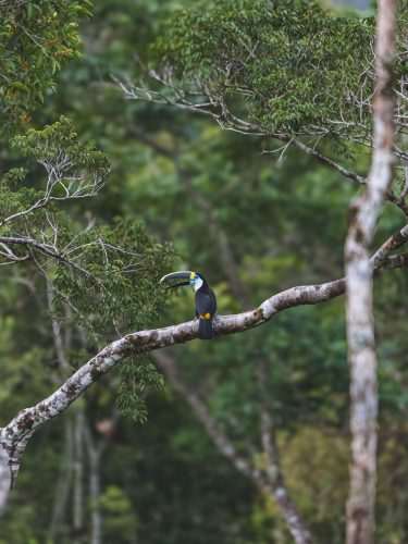 Ecoturismo en Colombia: Un Paraíso Natural que Enamora al Mundo.&nbsp;&nbsp;